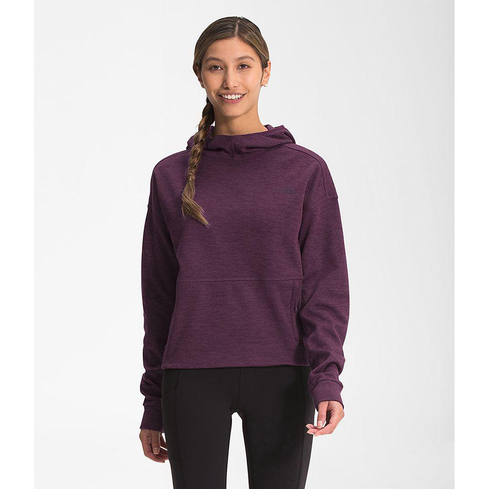 The North Face Canyonlands Crop Γυναικεια Pullover - Μπορντο / Μαυρα (KQAU72360)